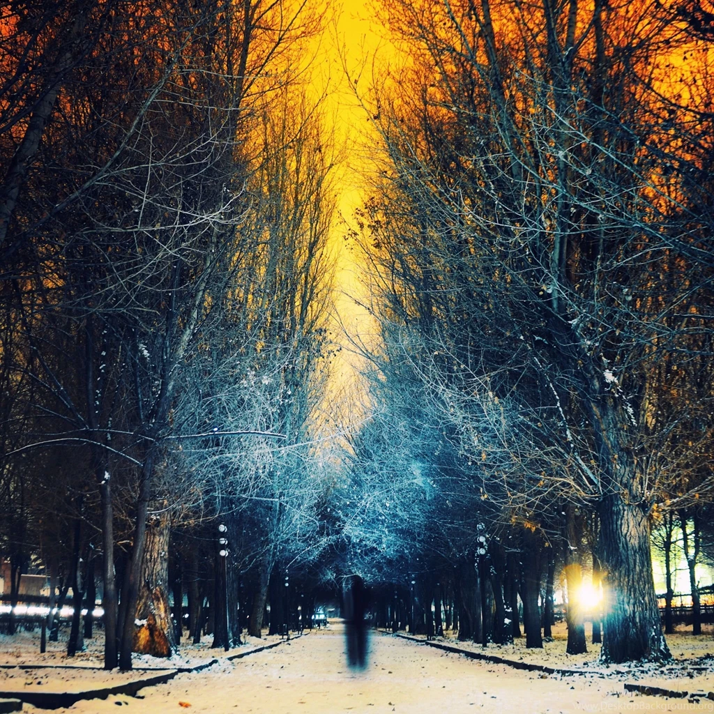 Best iPad Mini HD Wallpapers