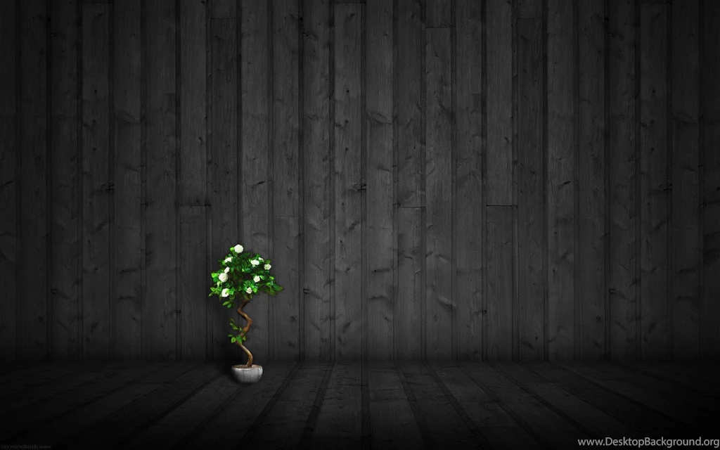 Wood HD Wallpapers