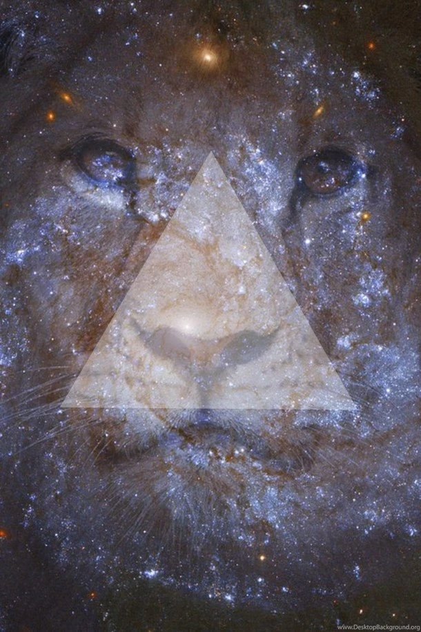 Tiger Image