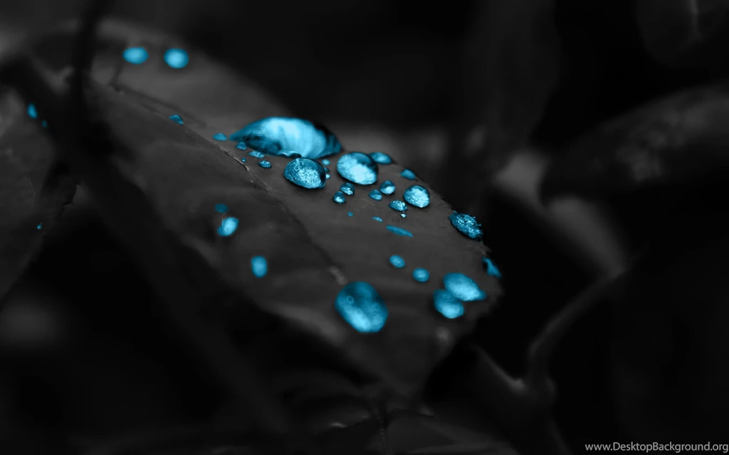 Www.intrawallpaper.com HD Wallpapers Page 1