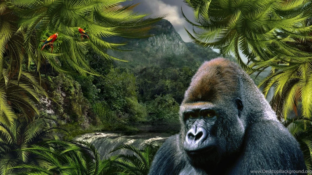 Gorilla Computer Wallpapers, Desktop Backgrounds