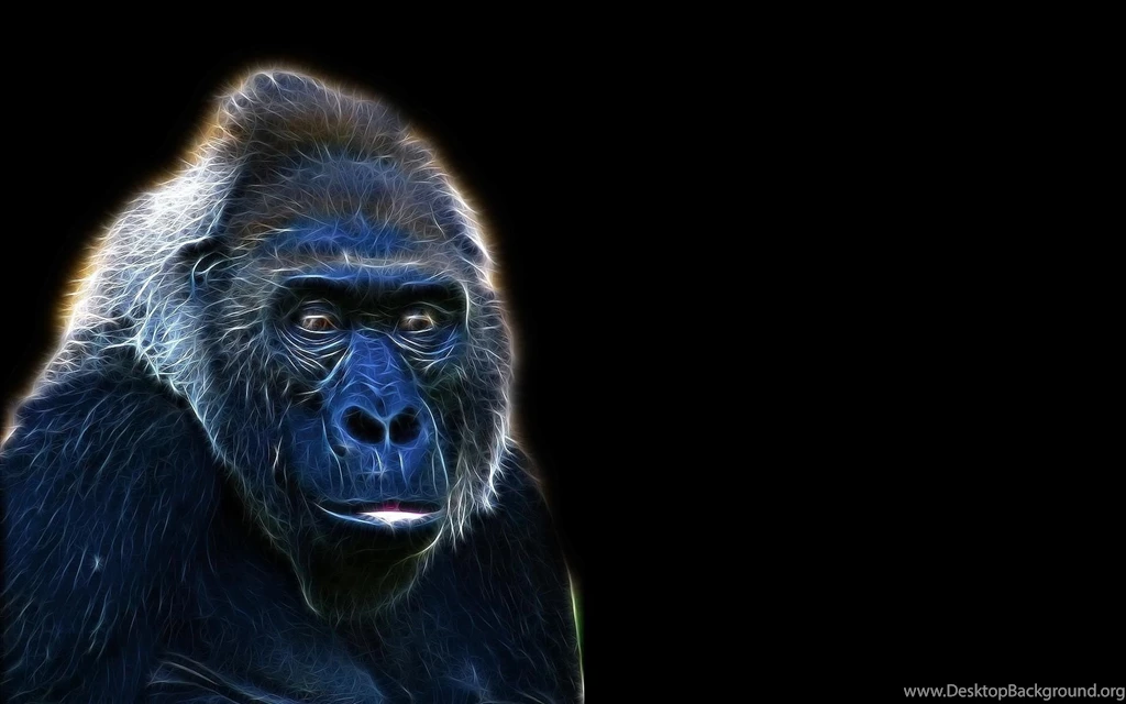 Gorilla Wallpapers >> Backgrounds With Quality HD