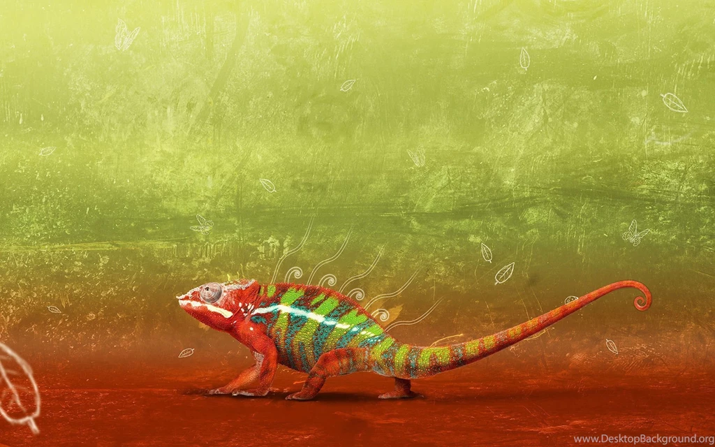 Chameleon Widescreen Wallpapers