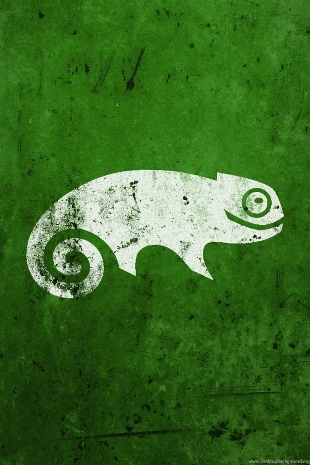 Green Chameleon iPhone 4s Wallpapers Download