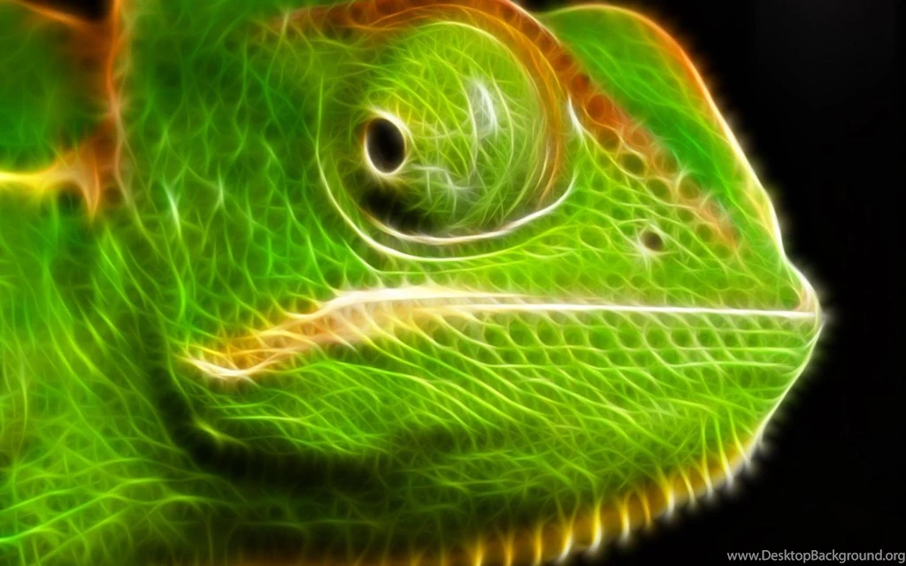 Chameleon Wild Animals Green Big Eyes Hd Wallpapers (