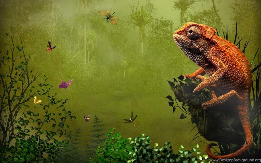 Chameleon Widescreen Wallpapers