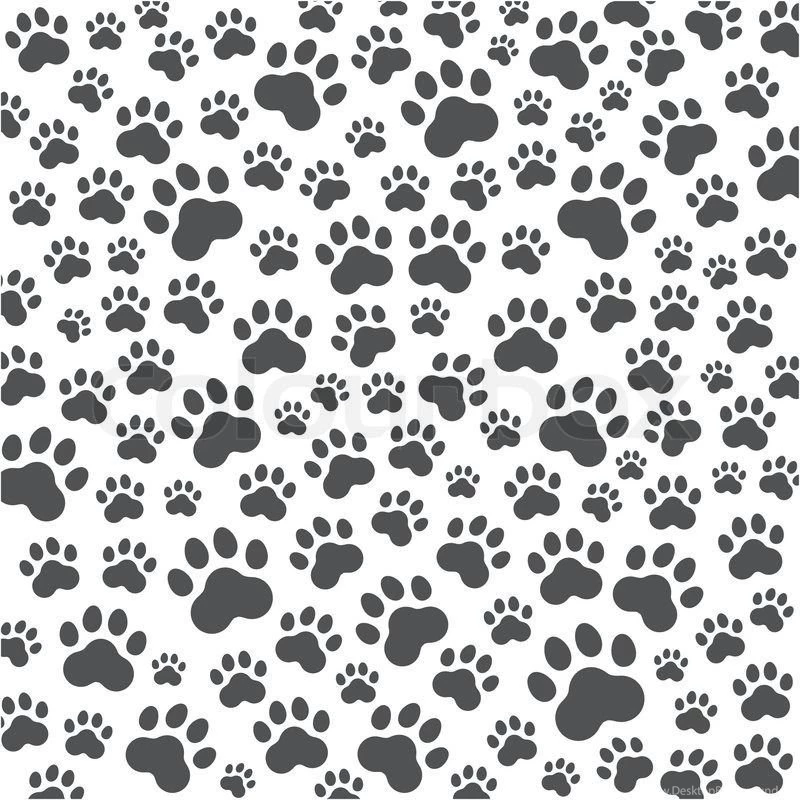 Cat Or Dog Paws Background. Vector Illustration