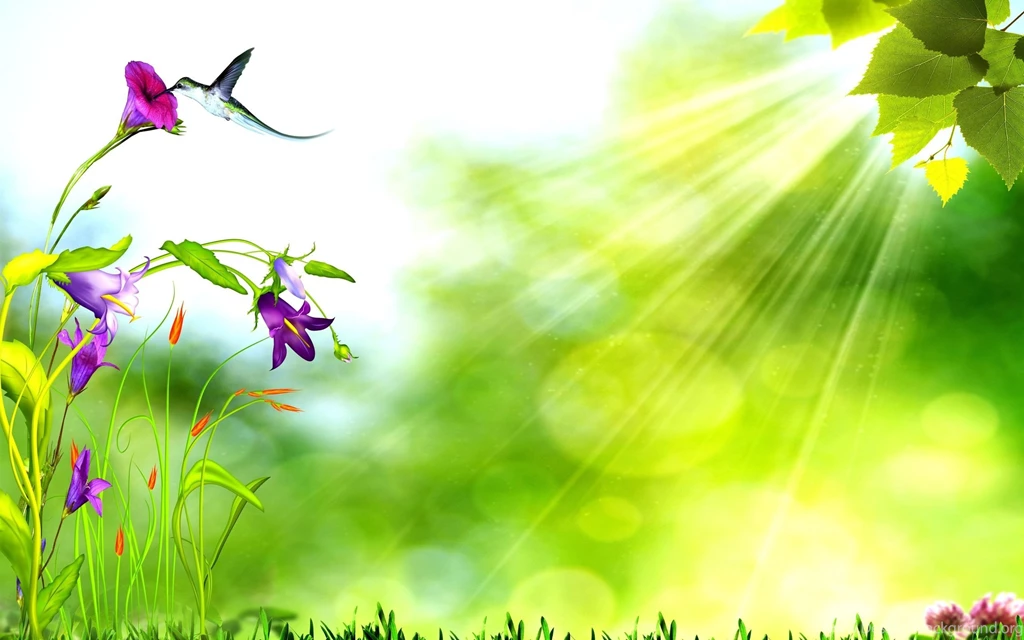 Nature Backgrounds 3068 Backgrounds Widescreen Full Size Attachment ...