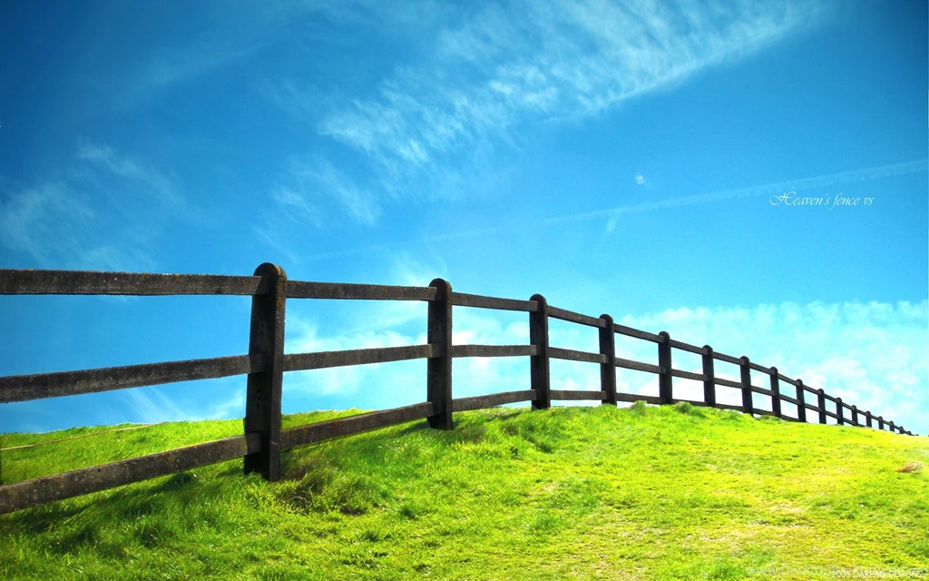 Decoration Of The Backgrounds Of Your Computer Wallpapers