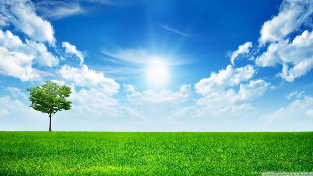 HDR Nature Wallpapers