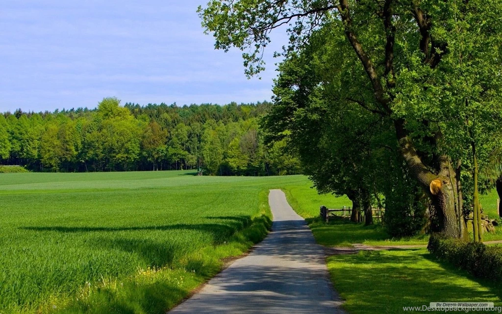 Free Wallpapers Free Nature Wallpapers Natural Scenery 6 ...