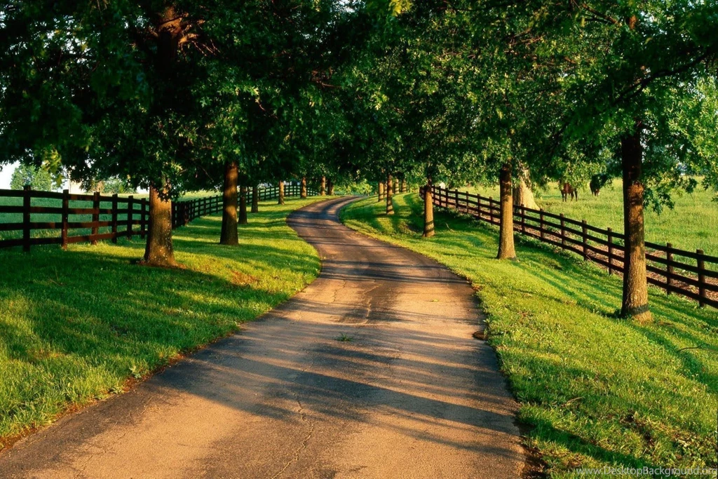 Natural Wallpapers_hd Wallpaper_download Free Wallpapers