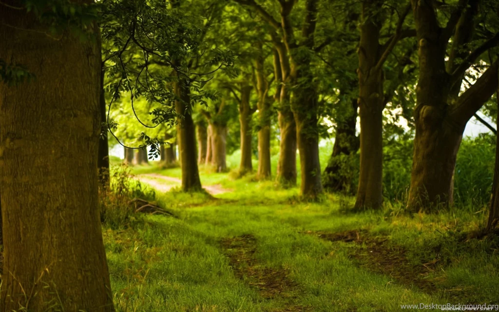 Nature Wallpapers And Screensavers Latest Wallpapers