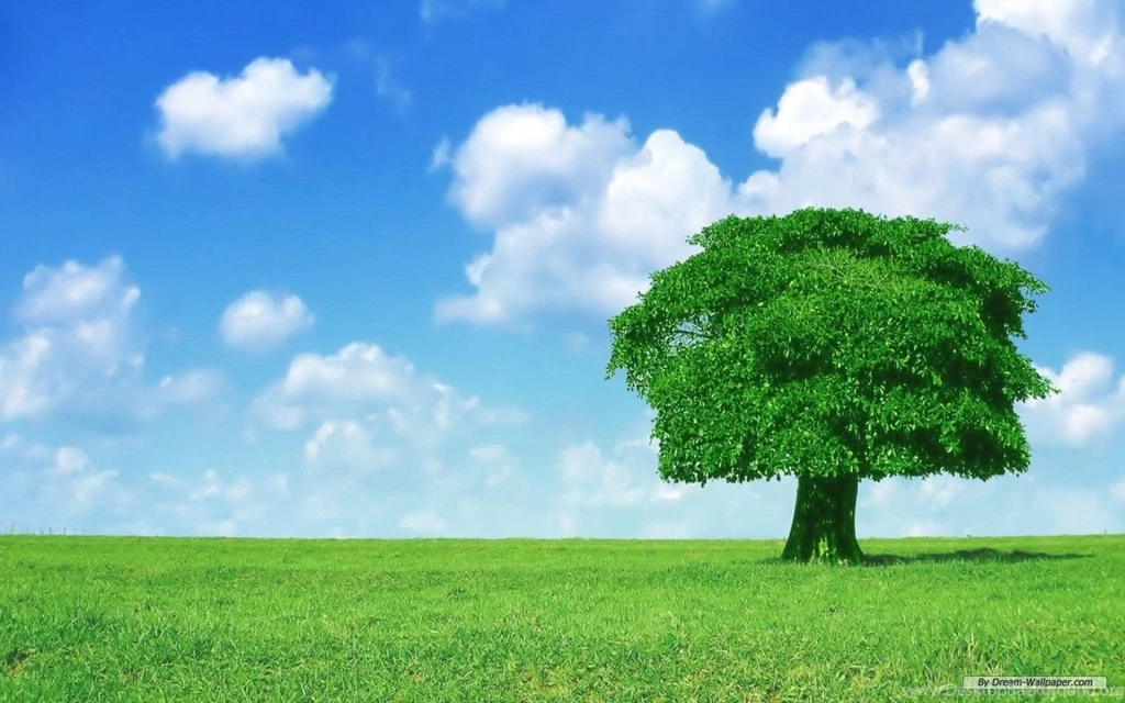Free Wallpapers Free Nature Wallpapers Natural Scenery 6 ...