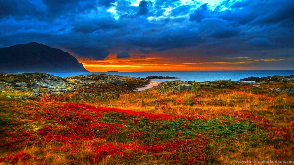 Wallpapers Beautiful Nature