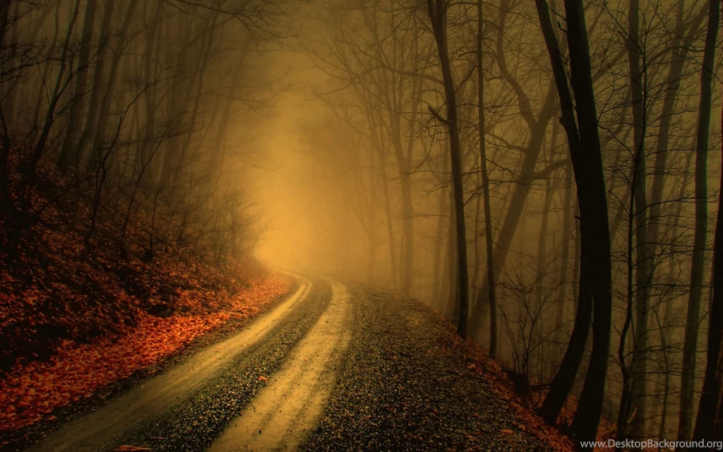 Autumn11.jpg