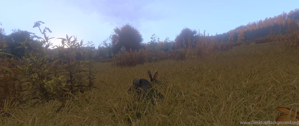 ArmA 3 4K Wallpapers Imgur