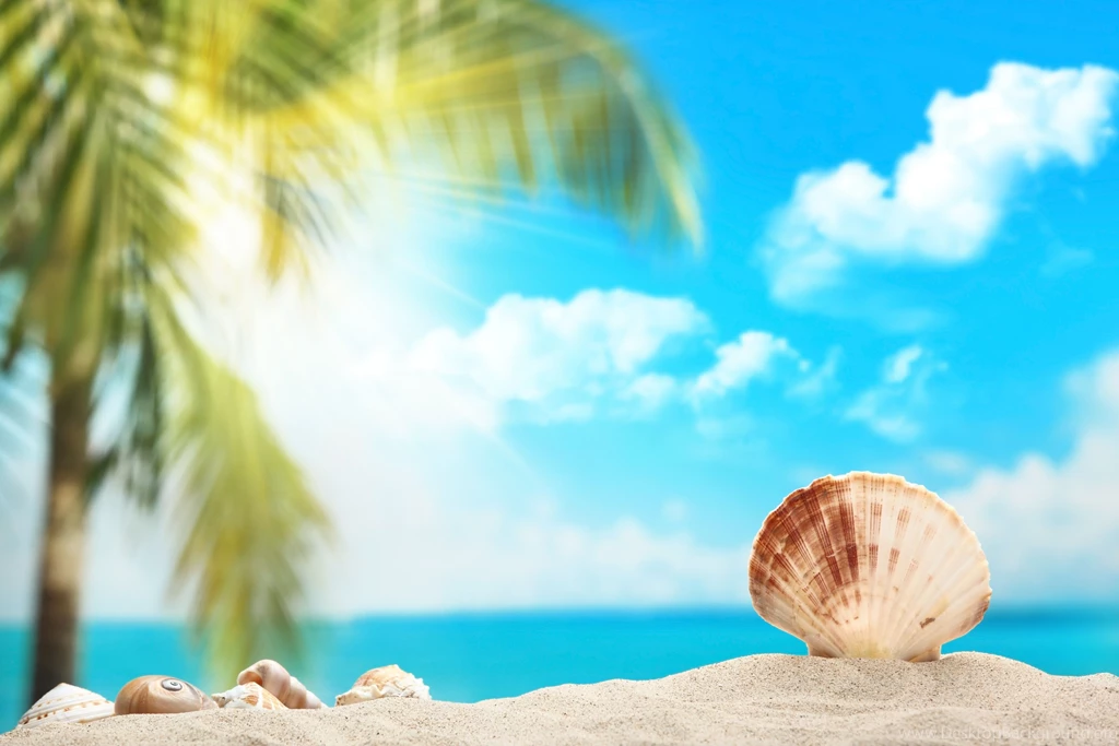 Download Sunshine Wallpapers Widescreen