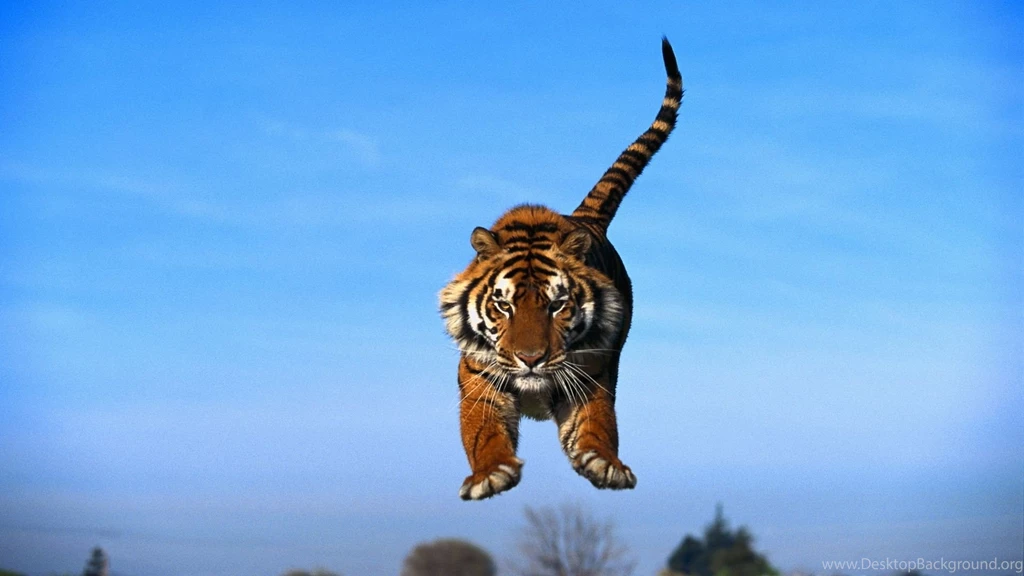Full HD 1080p Blue Sky Wallpapers HD, Desktop Backgrounds 1920x1080