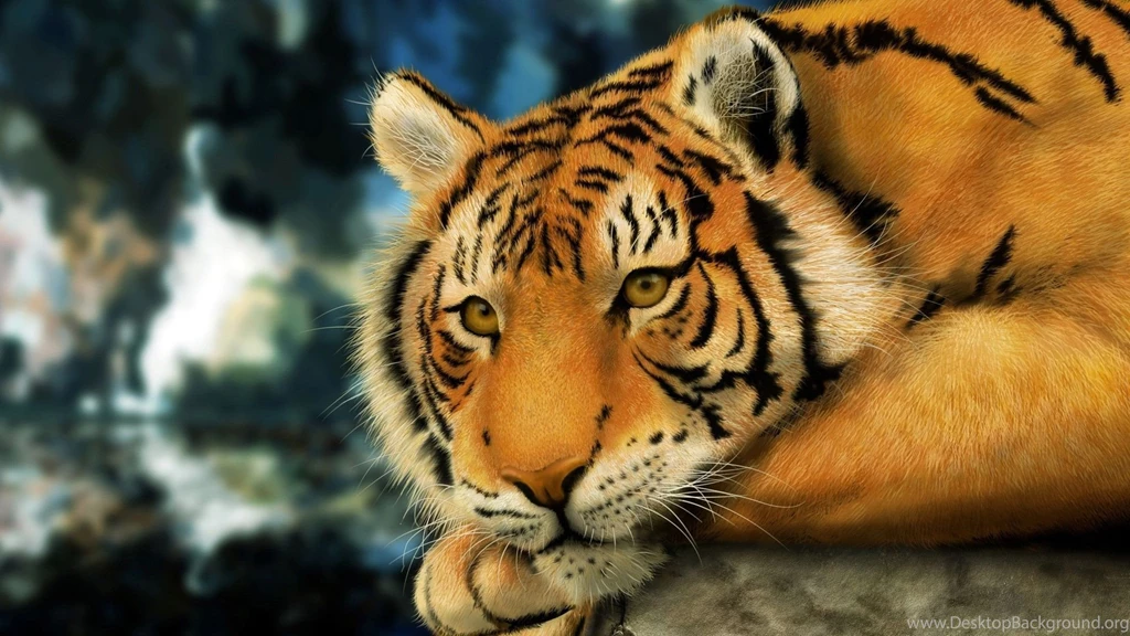 Tiger HD Animal Wallpapers