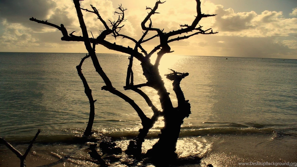 Nature Wallpapers Hd