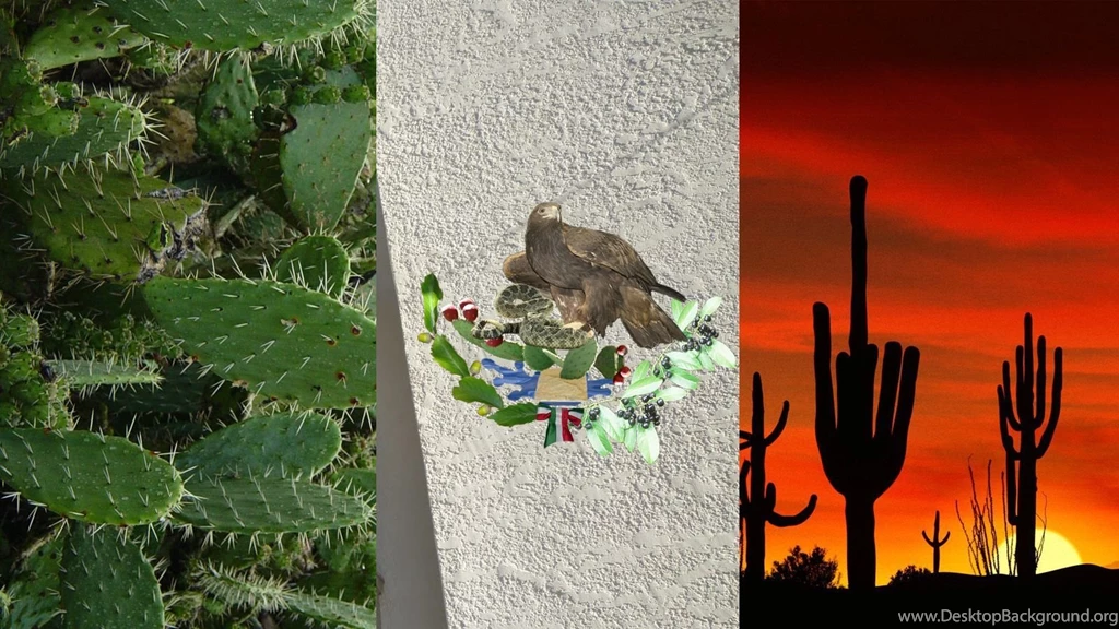 Mexican Flag Wallpapers By Emma Constance On DeviantArt