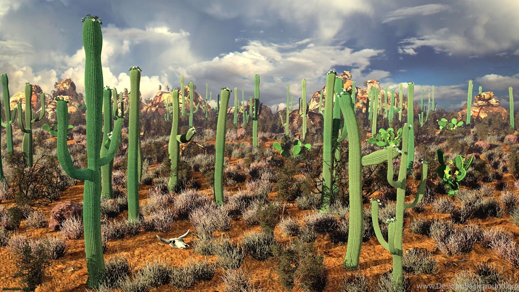 Cactus In Mexico Desert   3D Art   3840x2160   4K 16/9 (Ultra HD ...