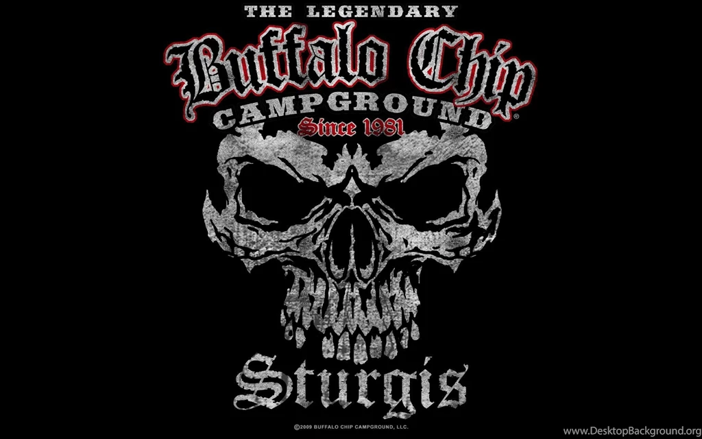 240X320 Skull Wallpapers 207846