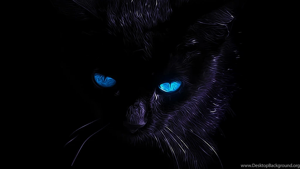 Black Cat Wallpapers All Wallpapers New
