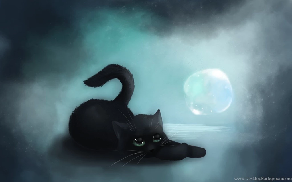 Black Cat In Moon Wallpapers Picture
