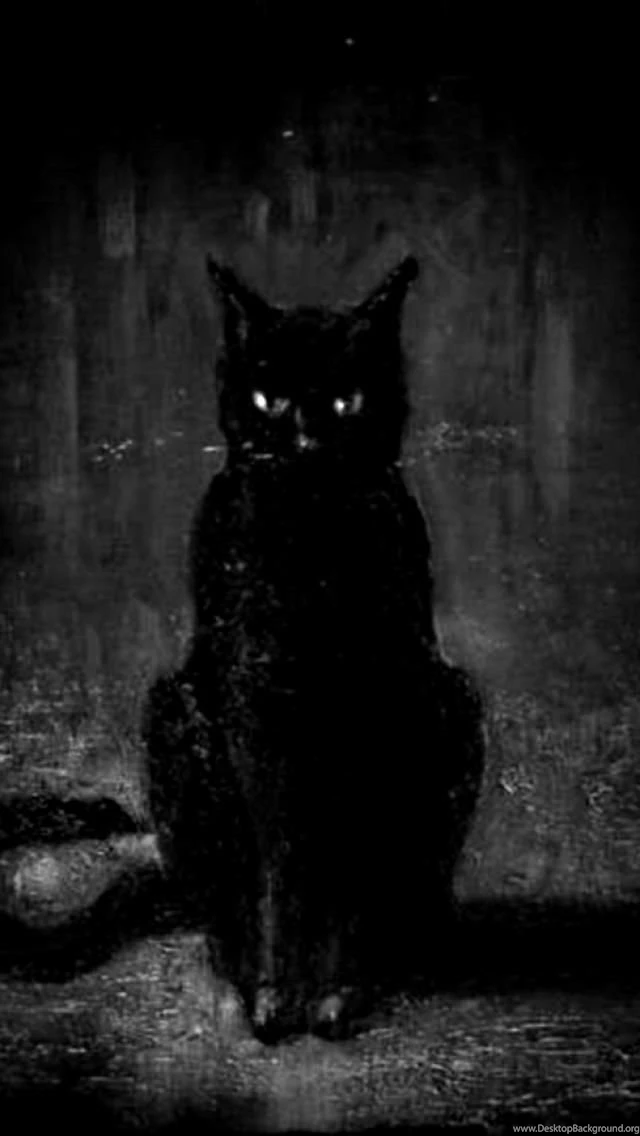 HDscreen: Black Cat Darkness In Shady The Desktop Bakcgrounds