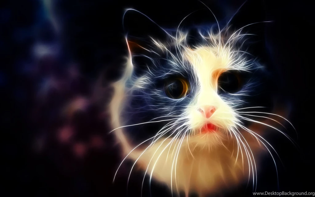 White And Black Cat Wallpapers By Ghostkyller On DeviantArt