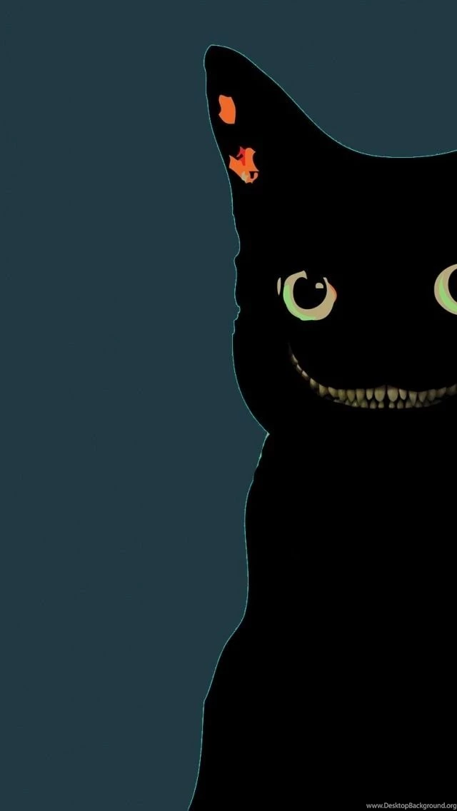 Black Cat iPhone 5 Wallpapers