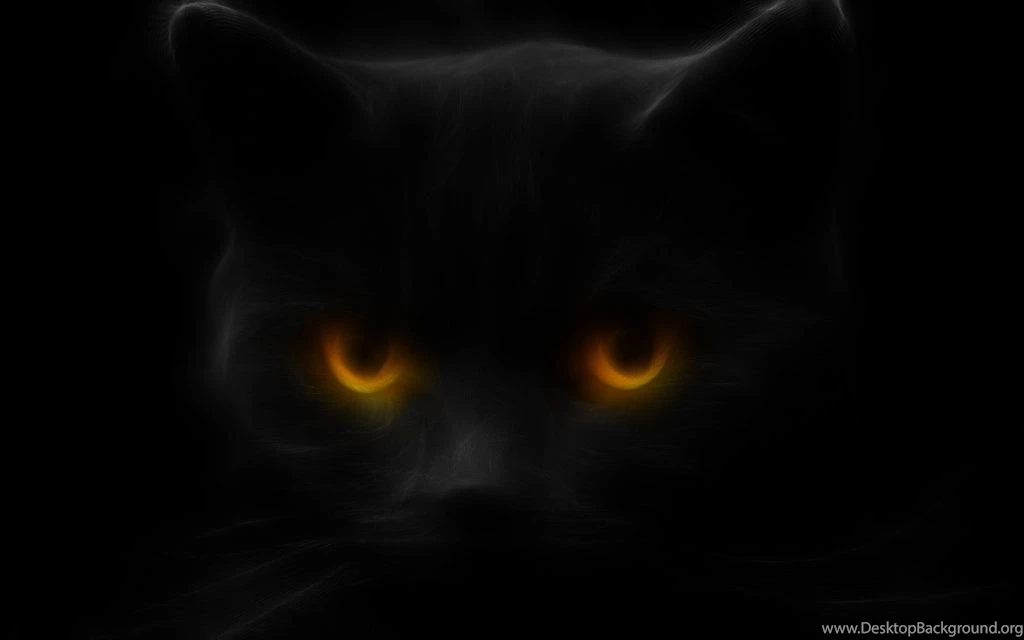 Black Cat Wallpapers By Ghostkyller On DeviantArt