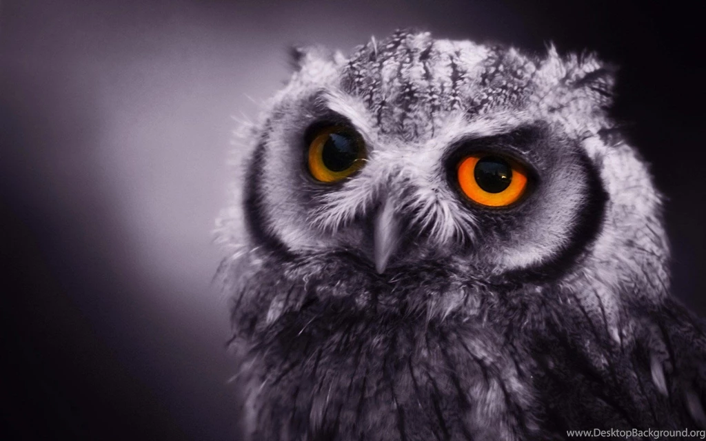 Www.wallpapereast.com Wallpapers HD Page 6