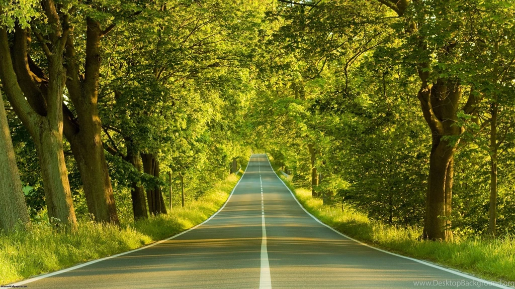 Nature Forest 3D Landscape Wallpapers HD Download Desktop