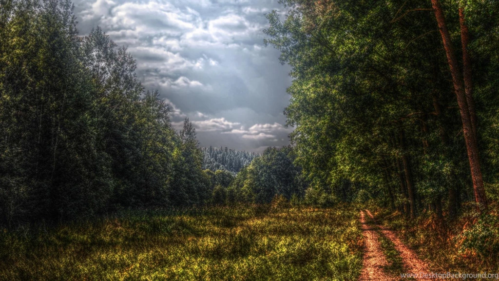 Nature, Forest, Graphics Nature Wallpapers HD