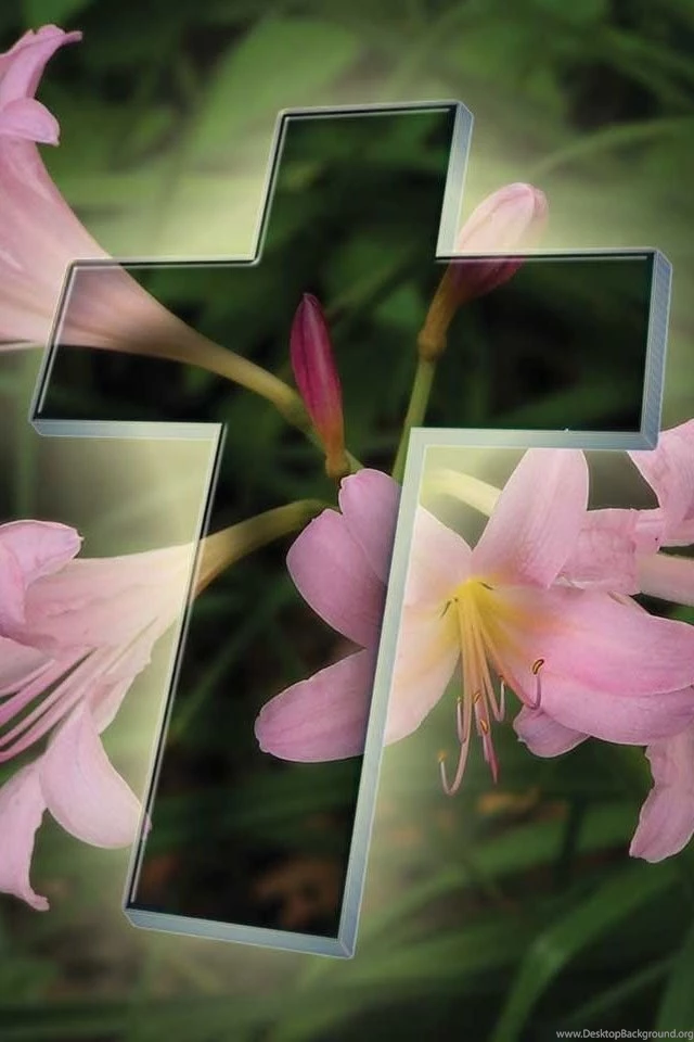 Flower And Cross Iphone 4s Wallpapers Free 640x960 Hd Iphone ...