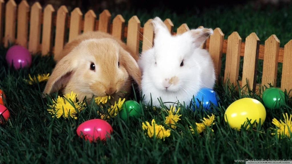 Easter Egg Hunt HD Desktop Wallpapers : Widescreen : High ...