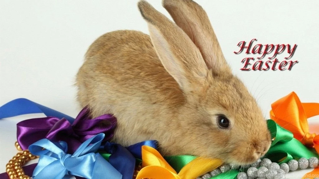 Download Easter Bunny Desktop Wallpaper.jpg