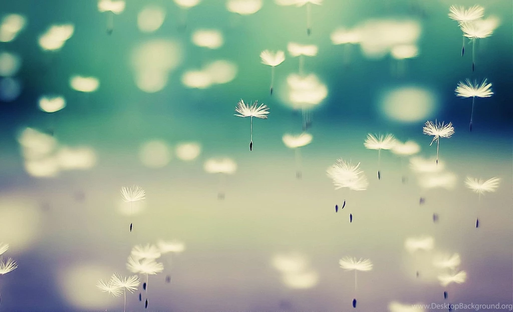 Cute Computer Wallpapers 3 Items