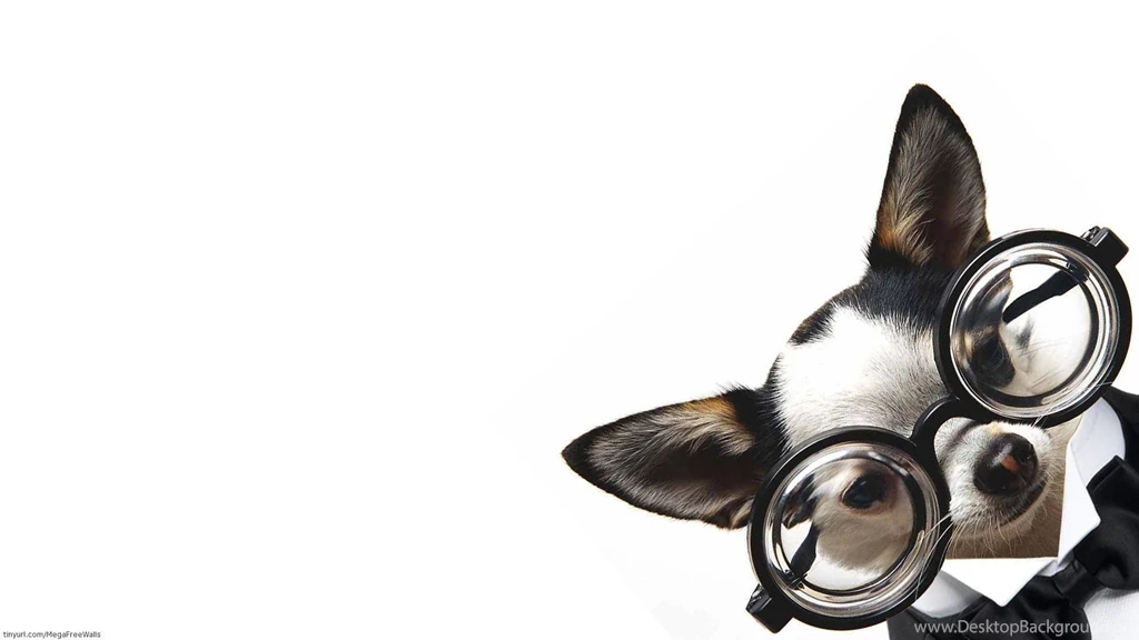 Cute Computer Wallpapers, Desktop Backgrounds