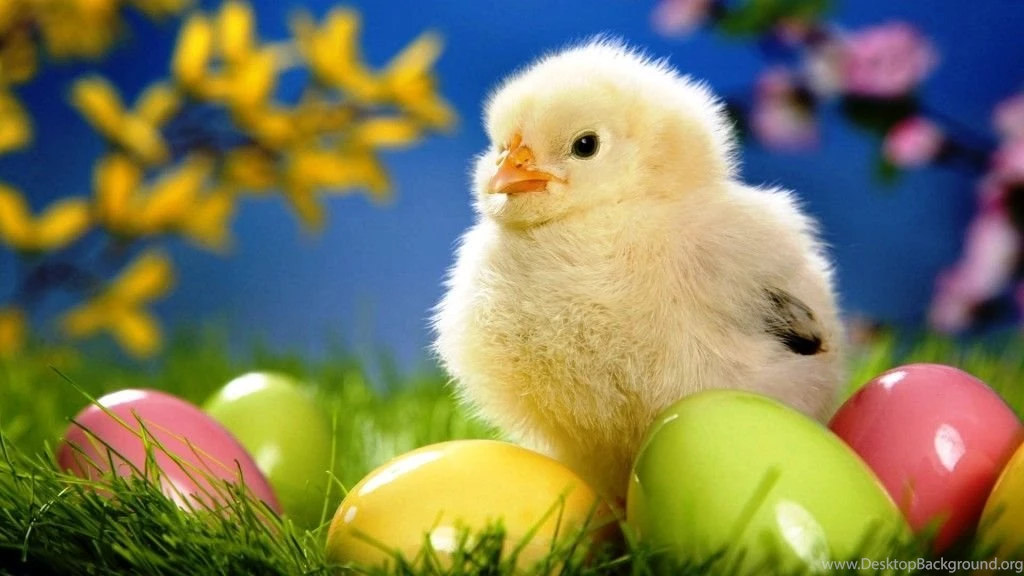 Cute Computer Wallpapers Desktop