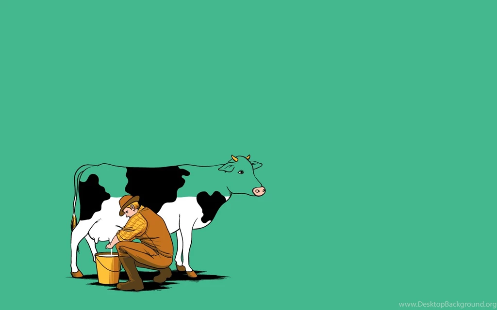 Cow Wallpapers