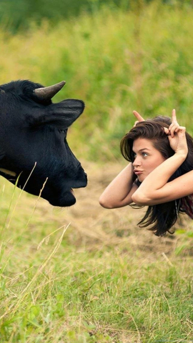 Girls VS Cow iPhone 5 Wallpapers (640x1136)