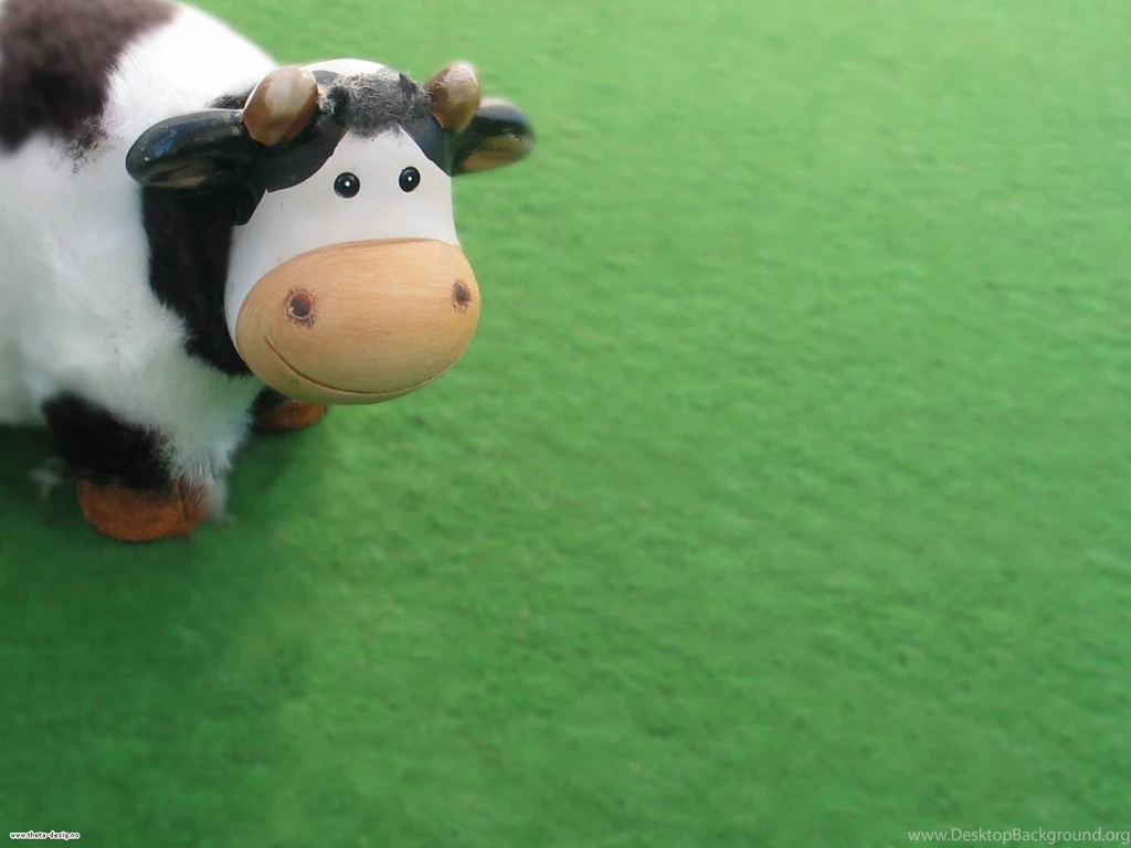 Cute Cow Wallpapers