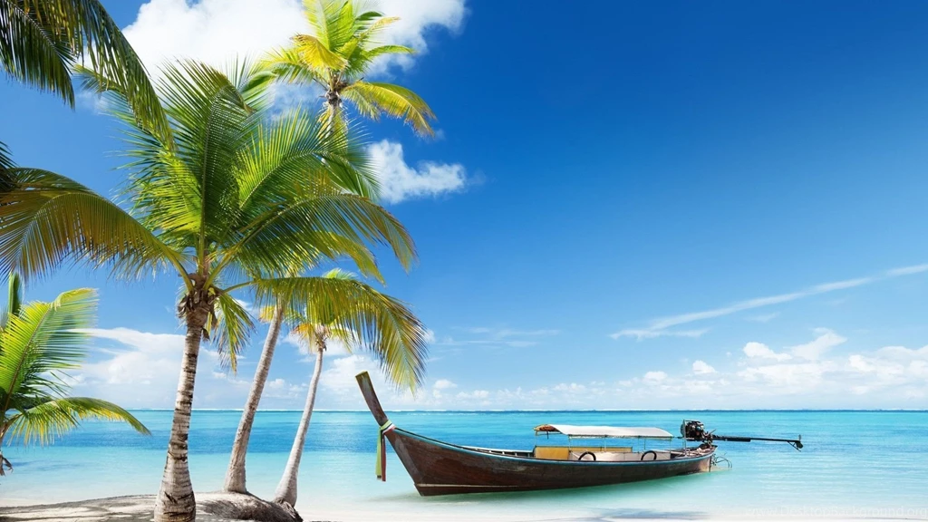 Beach Landscape With Palm Tree Wallpaper.