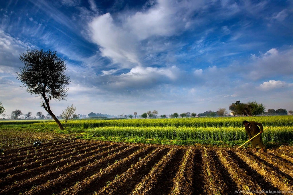 Agriculture Farm Landscape Nature Sky Countryside Pakistan Field ...