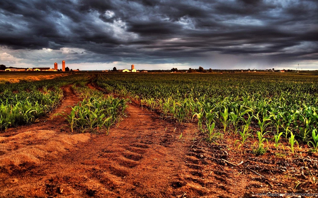 Agriculture Wallpapers >> Backgrounds With Quality HD