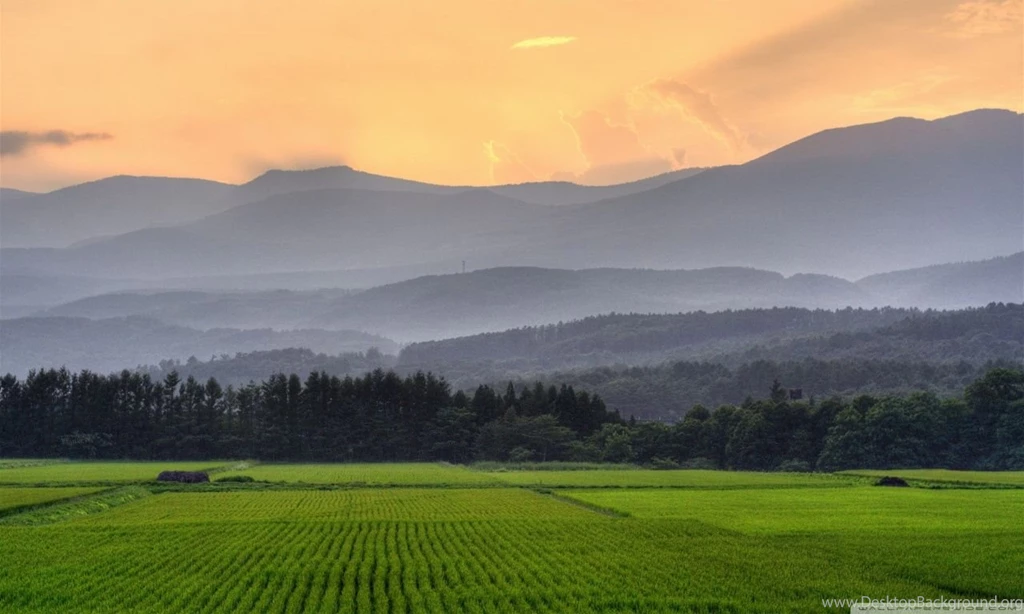 Agriculture HD Desktop Wallpapers : High Definition : Fullscreen ...